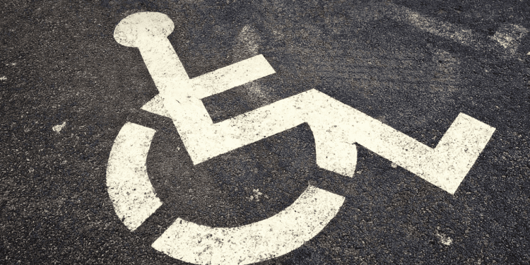 “IZAZOVI I USPJESI Život osoba s invaliditetom u modernom društvu