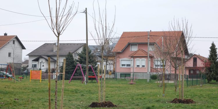 SVE ZELENIJI OSIJEK U mjesec dana zasađeno čak 1115 stabala