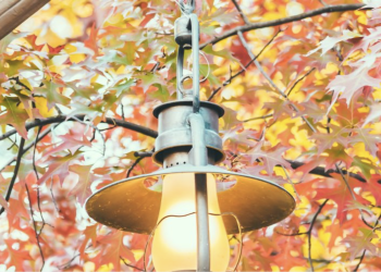 IMAŠ LI TI VJERE? Da se Isus rodi u mom srcu