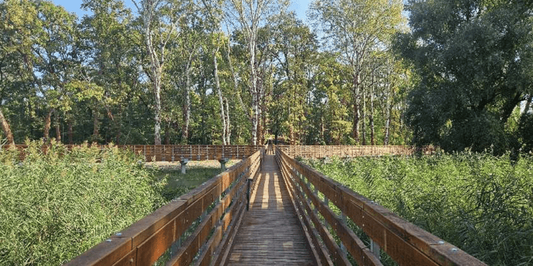 Grad Vukovar završava provedbu projekta Adica