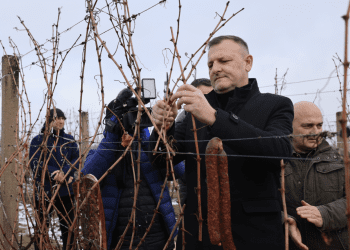 U Osječko-baranjskoj županiji uz bogat program obilježen blagdan zaštitnika vinara, sv. Vinka