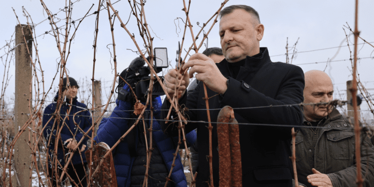 U Osječko-baranjskoj županiji uz bogat program obilježen blagdan zaštitnika vinara, sv. Vinka
