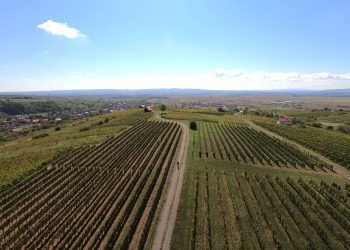 GODINA VELIKIH PROMJENA Mijenja se Zakon o poljoprivrednom zemljištu