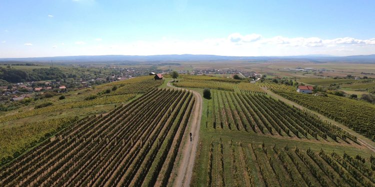 GODINA VELIKIH PROMJENA Mijenja se Zakon o poljoprivrednom zemljištu
