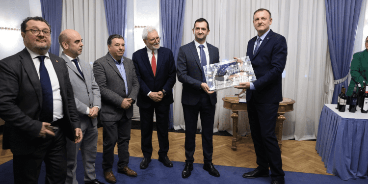 SADA JE I SLUŽBENO! Osječko-baranjska županija ponosno nosi titulu Europske vinske regije Dionisio 2025!