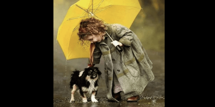 Ima li nade za ovaj svijet?