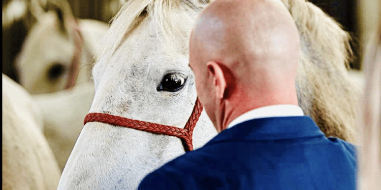 KAD PRORADI SLAVONSKI INAT Dabro: “Odstajat ću kaznu na jednoj nozi, ali ne dam mandat”