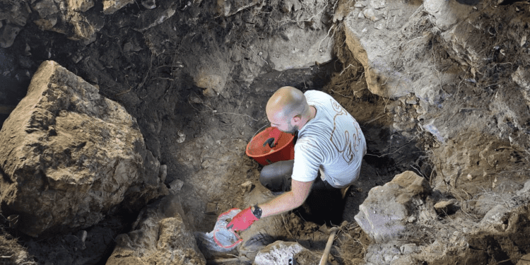 VELIKO OTKRIĆE: Tragovi života na Šćedru stariji od 7000 godina mijenjaju povijest Jadrana