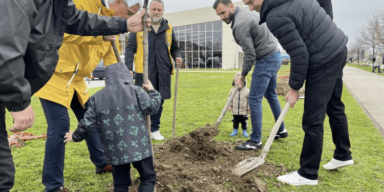 GRADONAČELNIK PENAVA I LIONSI ZAJEDNO ULJEPŠAVAJU VUKOVAR Posadili 45 novih sadnica lipe