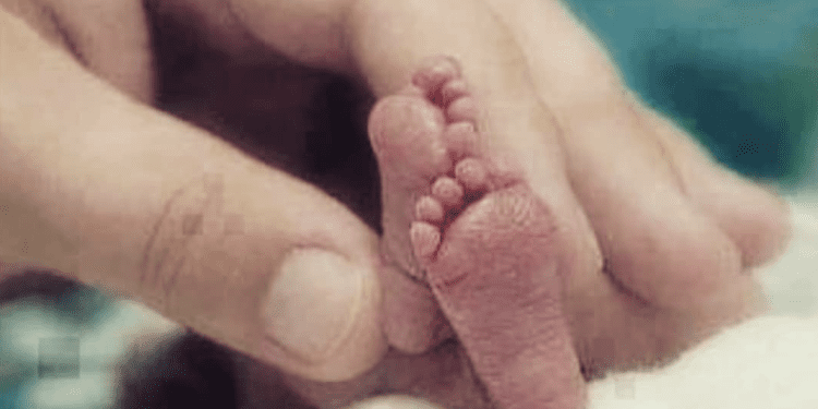 Tečaj trajne edukacije liječnika „Prijevremeni porođaj“: Znanstveni pristup i humanitarni karakter