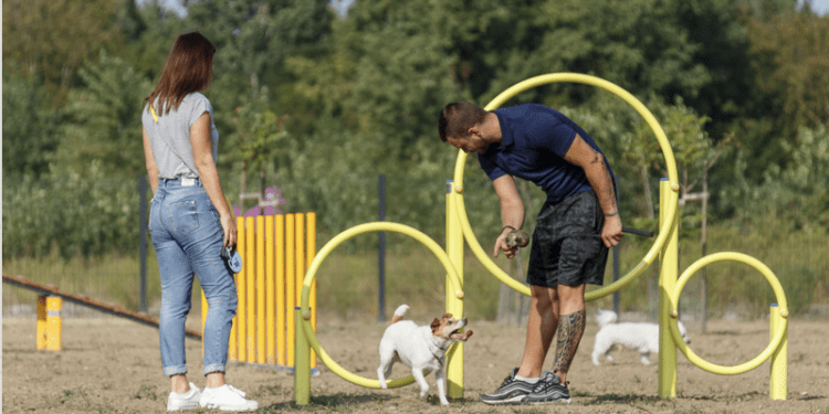 Nova zelena oaza za ljubimce: Park za pse u Vukovaru seli na novu atraktivnu lokaciju