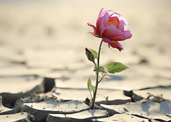 Smrću život ne prestaje