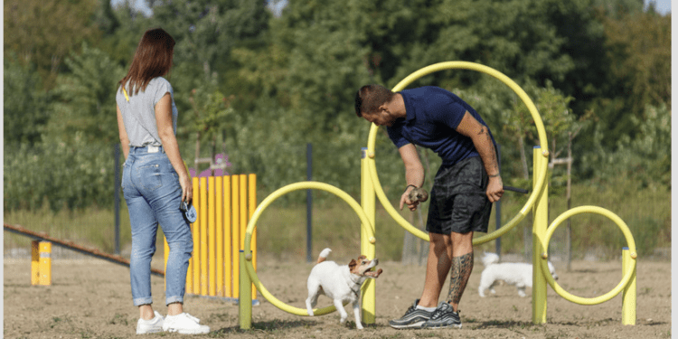 Grad Vukovar poziva građane na iskazivanje mišljenja o novoj lokaciji parka za pse