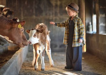 (FOTO) RuralFoto 2025: Uhvatite objektivom trenutke koji pričaju priču hrvatskog sela