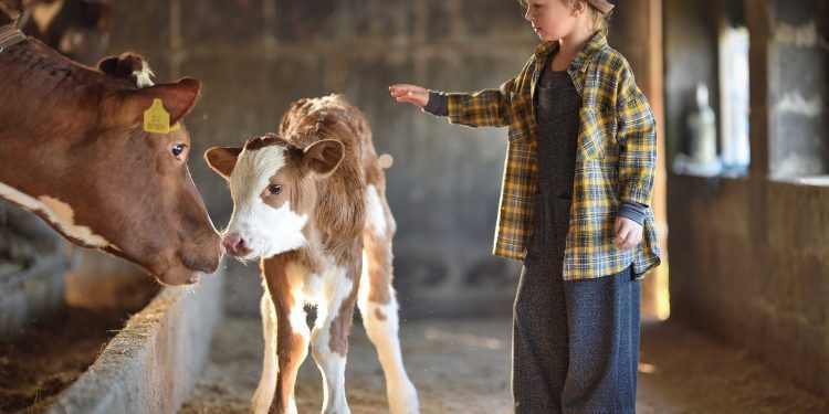 (FOTO) RuralFoto 2025: Uhvatite objektivom trenutke koji pričaju priču hrvatskog sela