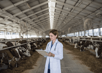 Hrvatska mijenja mjere za slinavku i šap: Manje kontrole, ali strogi nadzor ostaje