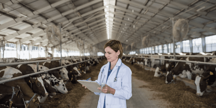 Hrvatska mijenja mjere za slinavku i šap: Manje kontrole, ali strogi nadzor ostaje