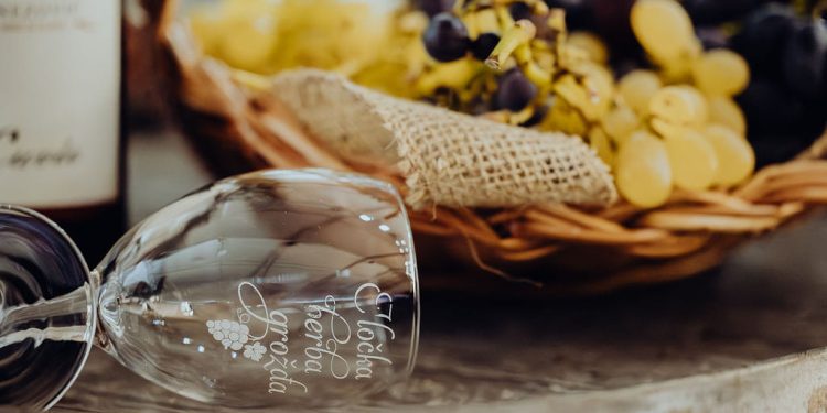 Čarolija vina i tradicije: Najava 58. Iločke berbe grožđa