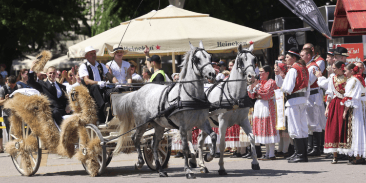 Dužijanca 2025. – Stoljetna svetkovina zahvalnosti i čuvarica tradicije bunjevačkih Hrvata u Subotici