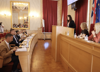 Zajedno protiv nasilja: Interdisciplinarni pristup u radu sa žrtvama nasilja