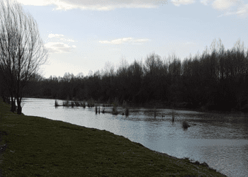 Ribič iz Dunavca izvukao ručnu bombu