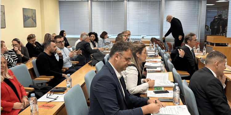 Gradski vijećnici o „Dunavu“ i dežurnoj ljekarni: Vukovar traži ozbiljne investitore i dostupnije zdravstvo