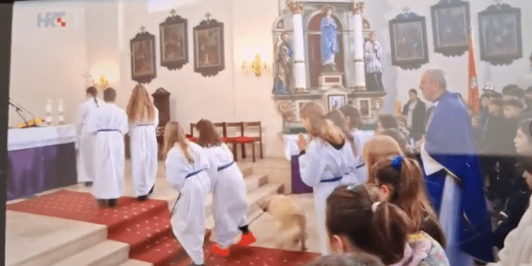 (VIDEO) Retriver iz Novigrada Podravskog ukrao show na HRT-ovom prijenosu mise