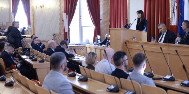 U Osijeku održana 8. sjednica Županijske skupštine: Fokus na poljoprivredu, zdravstvo i stambenu politiku