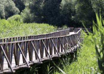 Obnova vodenih ekosustava u Kopačkom ritu: Projekt vrijedan 8,6 milijuna eura za očuvanje jedinstvene prirodne baštine