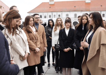 Osječko-baranjska županija bilježi demografski preokret: sve više obitelji vraća se u Slavoniju i Baranju