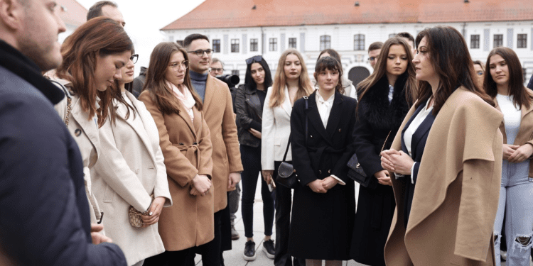 Osječko-baranjska županija bilježi demografski preokret: sve više obitelji vraća se u Slavoniju i Baranju