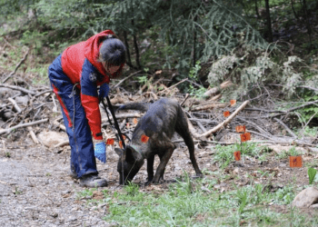 Hrvatska i Slovenija istražuju grobišta iz Drugog svjetskog rata: Uskoro preuzimanje posmrtnih ostataka 500 žrtava