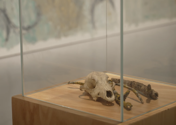 Pupovac otvorio izložbu u centru Zagreba za naš novac – Hrvate prikazuju zločincima, a o srpskim logorima ni slova