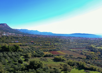 Grad Kaštela daje do 6.700 eura bespovratnih potpora poljoprivrednicima — prijave do 15. svibnja