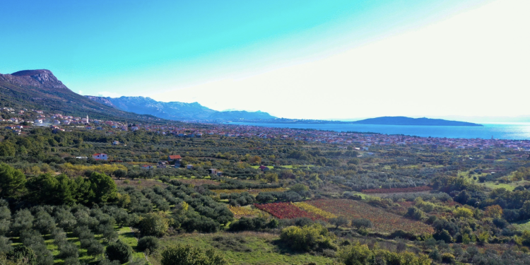 Grad Kaštela daje do 6.700 eura bespovratnih potpora poljoprivrednicima — prijave do 15. svibnja