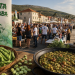 Fešta o’ boba 2026. u Kaštel Kambelovcu: Rekordan broj ekipa, zatvaranje prometa i velika gastronomska fešta na Brcu