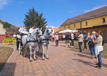 FOTO Svjetski agrarni novinari upoznali poljoprivredu Slavonije i Baranje