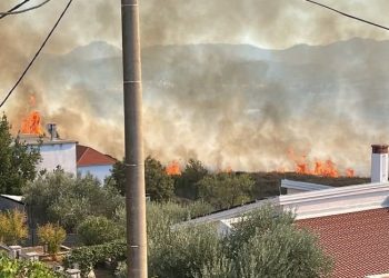 Lokaliziran požar u Vidu kod Metkovića